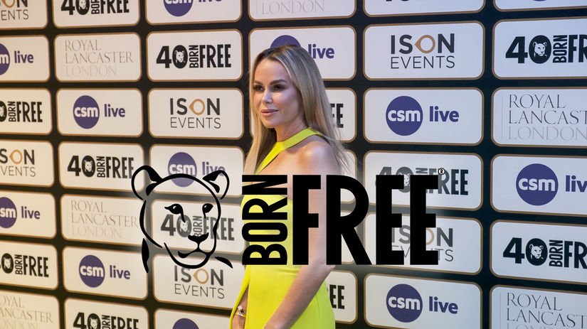 Born Free Promo
